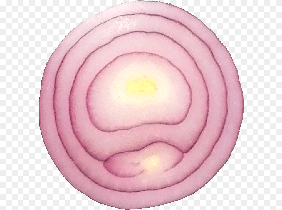 Sliced Onion Transparent Red Onion, Food, Produce, Flower, Plant Png