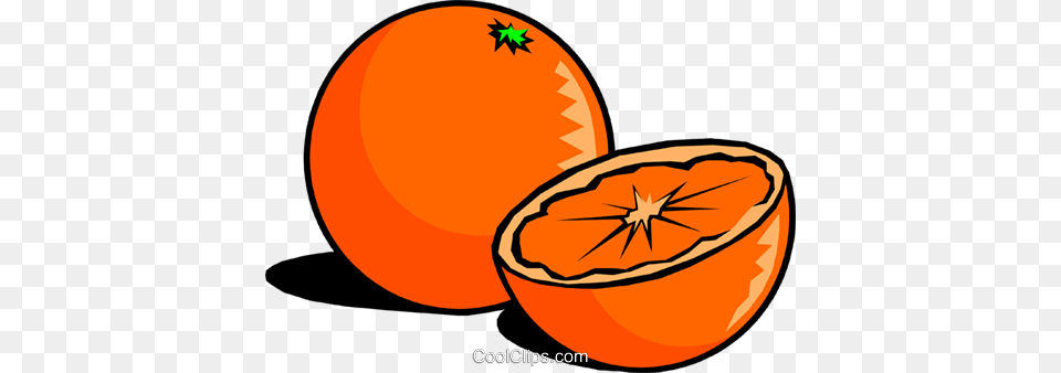 Sliced Oranges Royalty Vector Clip Art Illustration, Citrus Fruit, Food, Fruit, Grapefruit Free Png