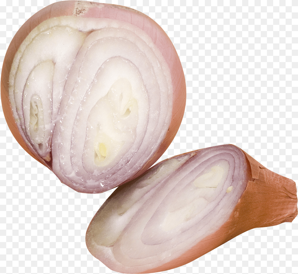Sliced Shallots Shallot, Food, Produce, Onion, Plant Free Png Download