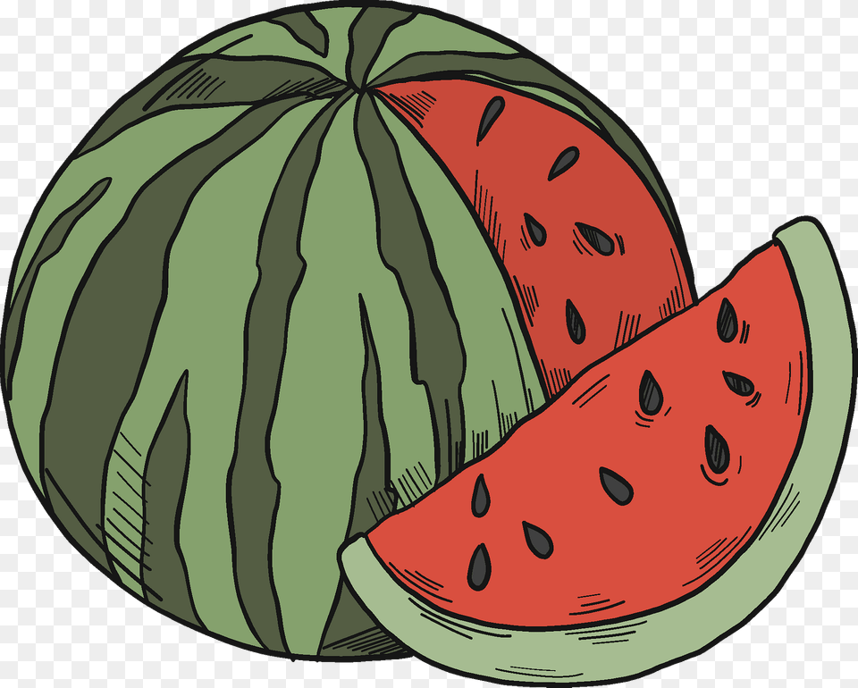 Sliced Watermelon Clipart, Food, Fruit, Melon, Plant Free Png Download