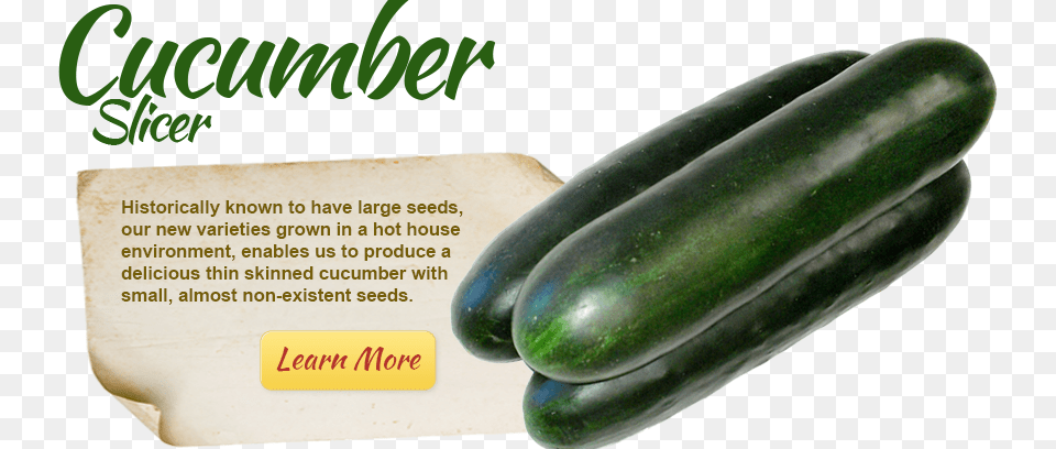 Slicer Cucumber Cucumber, Food, Produce, Plant, Vegetable Png