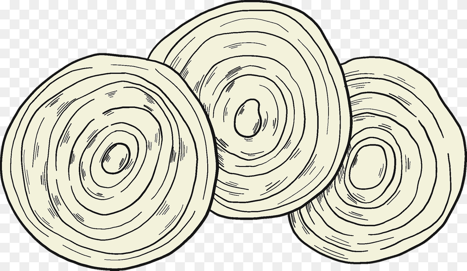 Slices Of Onion Clipart, Home Decor, Spiral, Rug Free Transparent Png