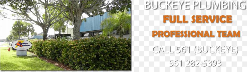 Slide 1 583 97 Kb Buckeye Plumbing Inc, Vegetation, Tree, Fence, Plant Free Png