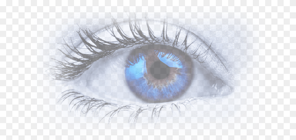 Slide 1 Eye Stock, Art, Person, Contact Lens Png Image