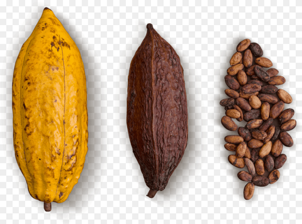 Slide 2 Seed, Cocoa, Dessert, Food, Banana Png