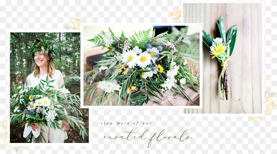 Slide Collage3 Bouquet, Flower Arrangement, Art, Collage, Daisy Png