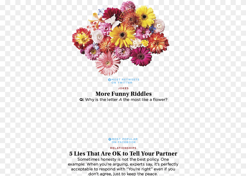 Slide Show Overlay Bouquet, Advertisement, Plant, Poster, Flower Free Transparent Png