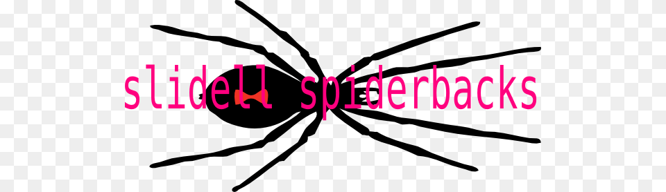 Slidell Spiderbacks Clip Art, Animal, Invertebrate, Spider, Black Widow Free Transparent Png