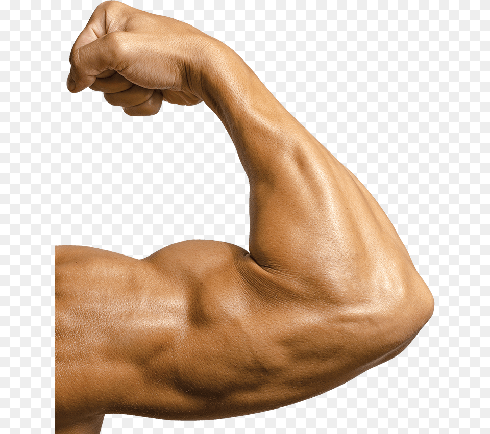 Slider 1819 Vanya Bicep Bicep, Arm, Body Part, Person, Adult Free Transparent Png