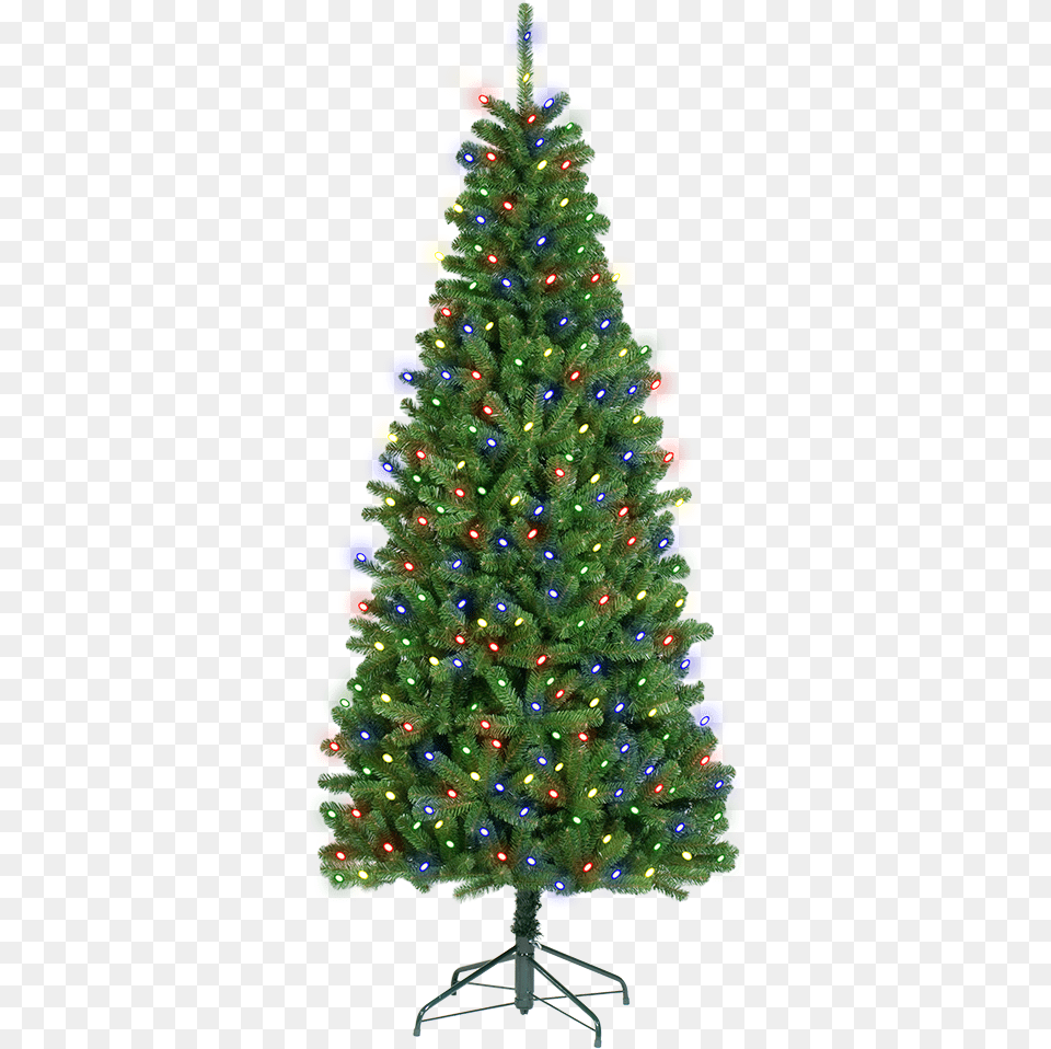 Slim Aberdeen Pine Holiday Living 65 Ft Pre Lit Seneca Pine Artificial, Plant, Tree, Christmas, Christmas Decorations Png Image