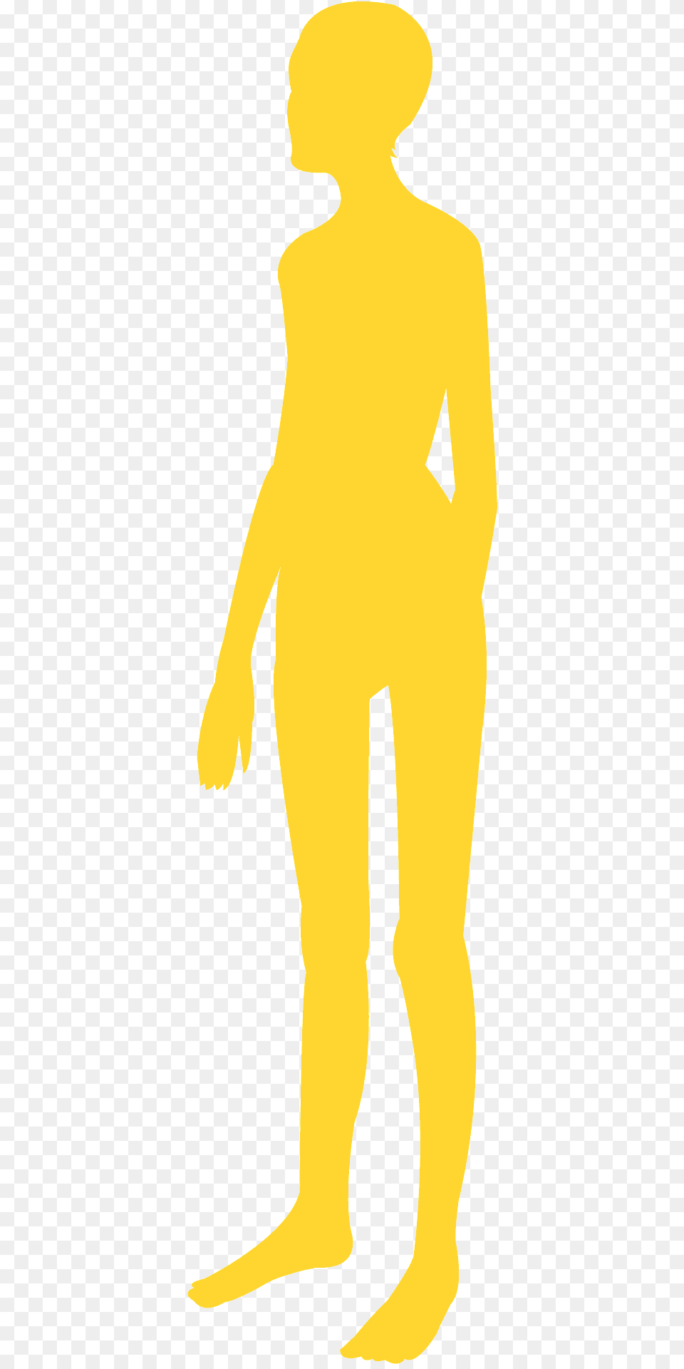 Slim Silhouette, Adult, Male, Man, Person Png