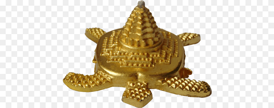 Slim Trim Tortoise, Gold, Treasure, Badge, Logo Free Png