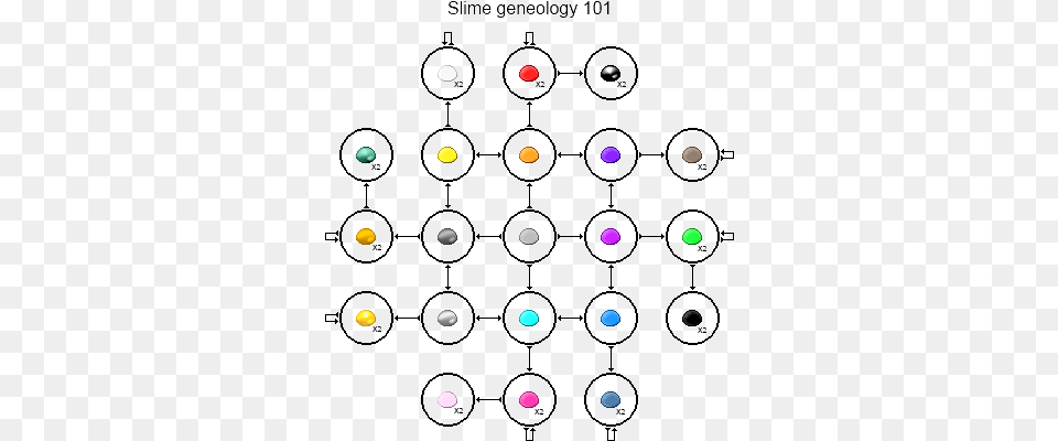 Slime Geneology2 Circle, Paper, Nature, Night, Outdoors Free Png Download