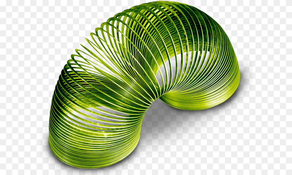Slinky Bigger Macro Photography, Coil, Spiral, Plant Free Transparent Png