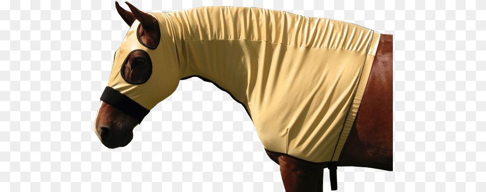 Slinky Hood Stallion, Adult, Male, Man, Person Free Transparent Png