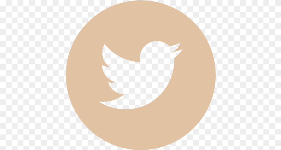 Slipped Disc The Inside Track Twitter Logo Button, Animal, Bird, Blackbird, Fish Png Image