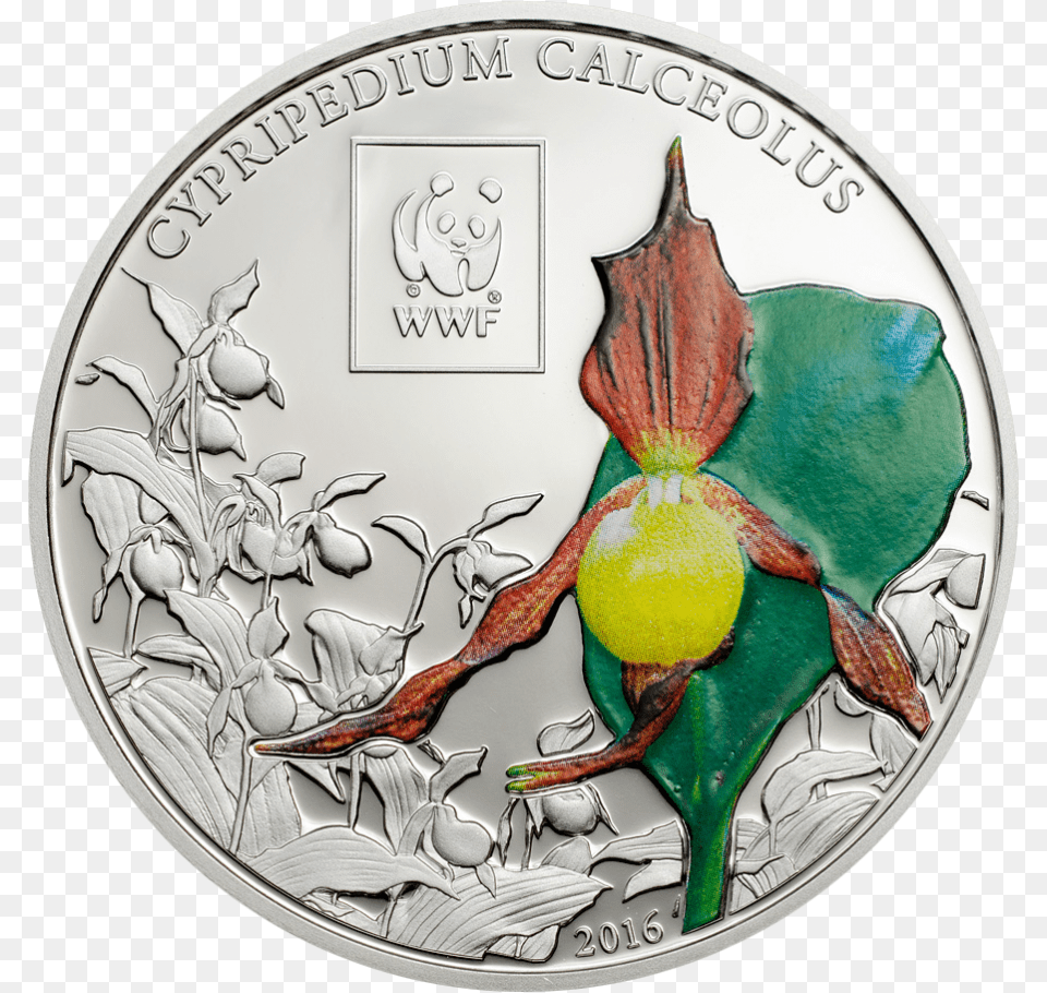 Slipper Orchid Slipper Orchids, Silver, Coin, Money, Adult Free Png