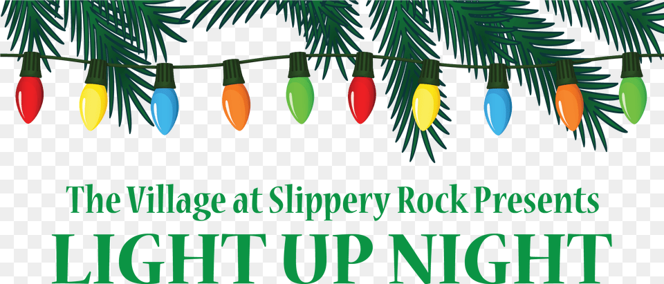 Slippery Rock Light Up Night, Conifer, Plant, Tree, Lighting Png Image