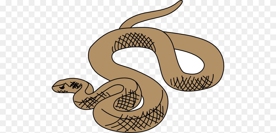 Slithering Snake Art Clip Art For Web, Animal, Reptile, Fish, Sea Life Free Transparent Png
