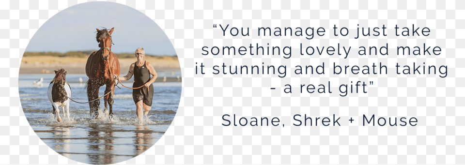 Sloane Shrek U2014 Avedon Animal Portraits Stallion, Photography, Person, Mammal, Horse Png Image