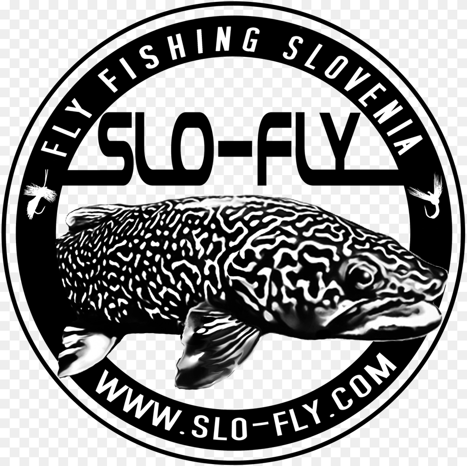 Slofly, Animal, Fish, Sea Life, Aquatic Free Png