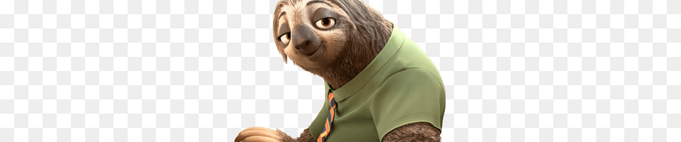 Sloth, Animal, Mammal, Adult, Male Png Image