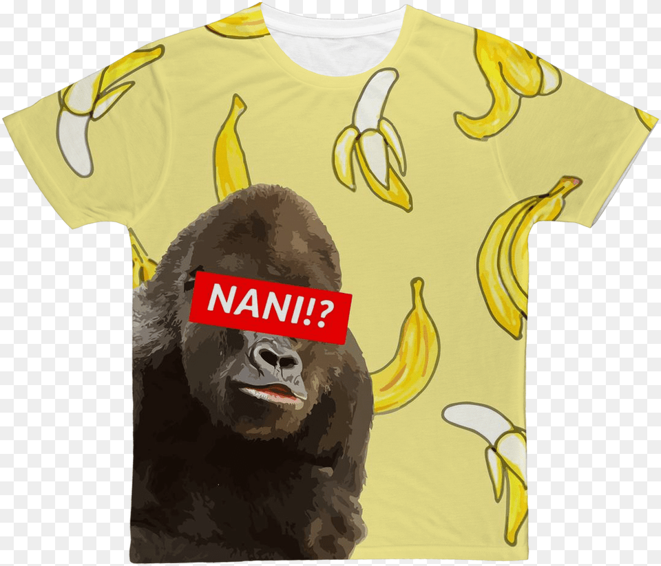 Sloth, T-shirt, Clothing, Wildlife, Animal Free Png