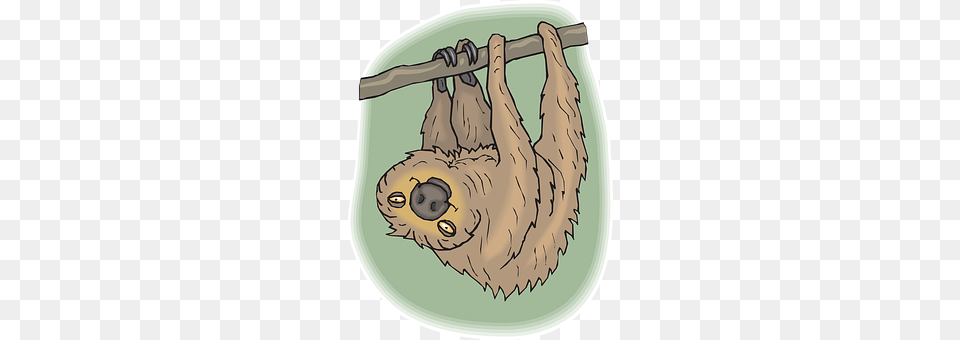 Sloth Animal, Mammal, Wildlife, Three-toed Sloth Free Transparent Png