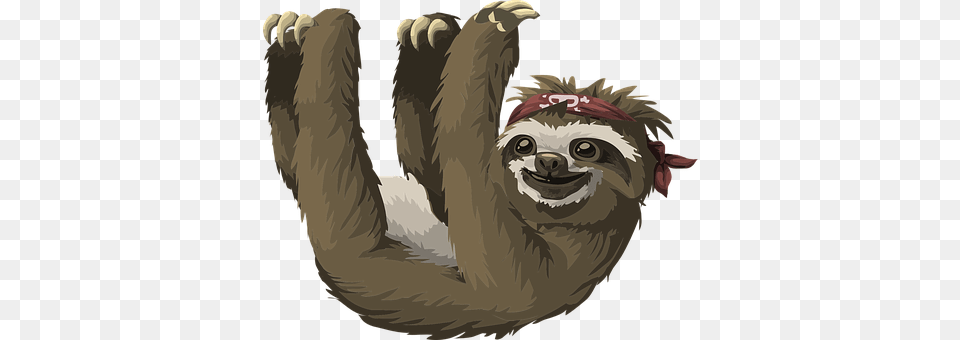Sloth Animal, Mammal, Wildlife, Three-toed Sloth Png Image