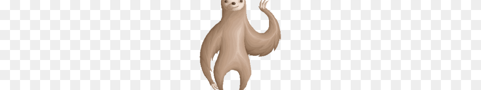 Sloth, Animal, Mammal, Adult, Female Png Image