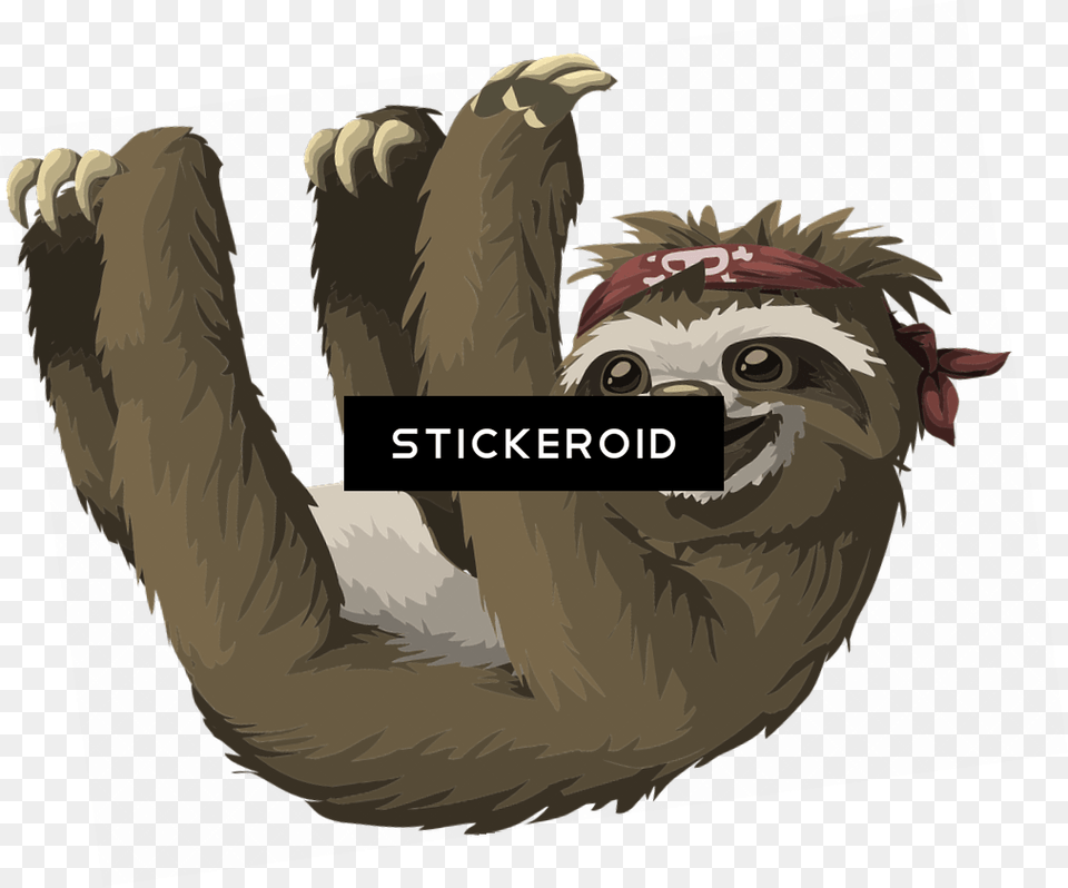 Sloth, Animal, Bird, Mammal, Wildlife Png