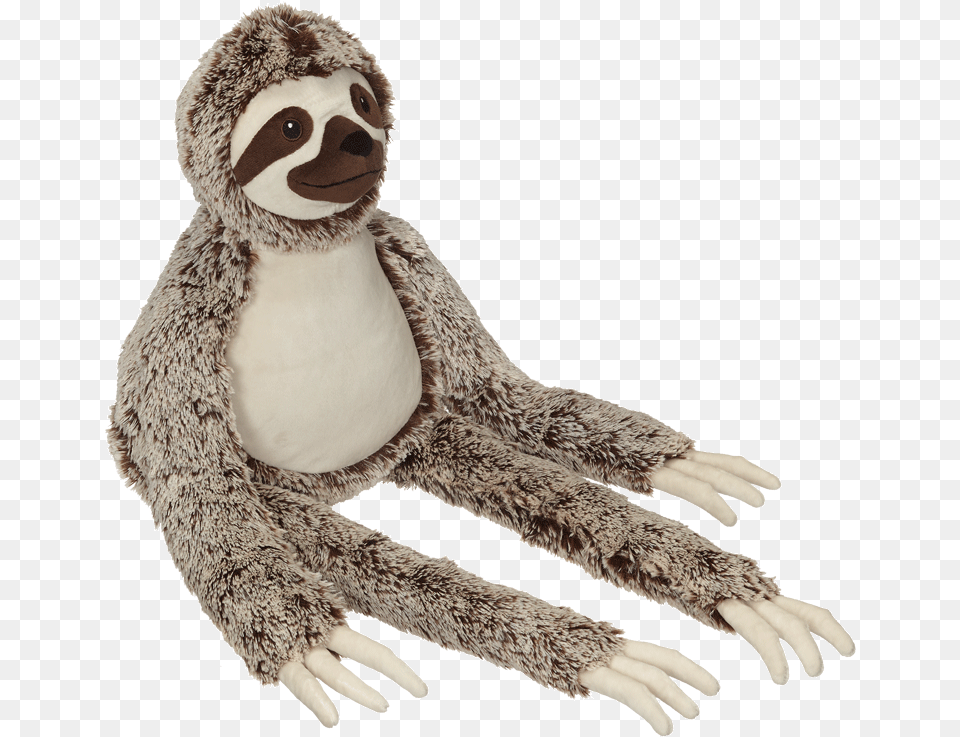 Sloth Adlie Penguin, Electronics, Hardware, Animal, Face Png Image