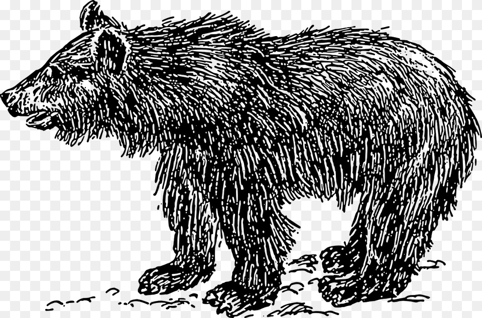 Sloth Bear Clipart Black And White, Gray Png