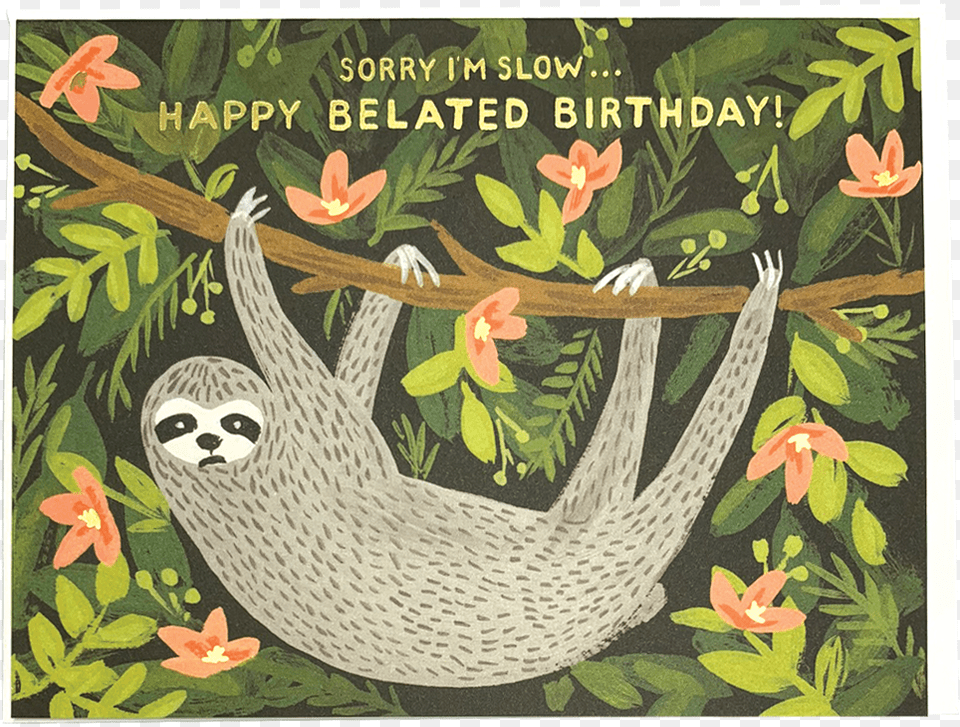 Sloth Belated Birthday Happy Birthday Rifle Paper, Plant, Vegetation, Jungle, Nature Png