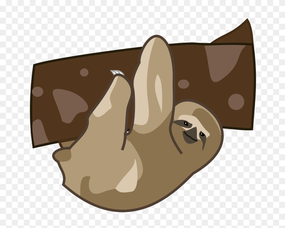 Sloth Cartoon, Animal, Beak, Bird, Clothing Free Transparent Png