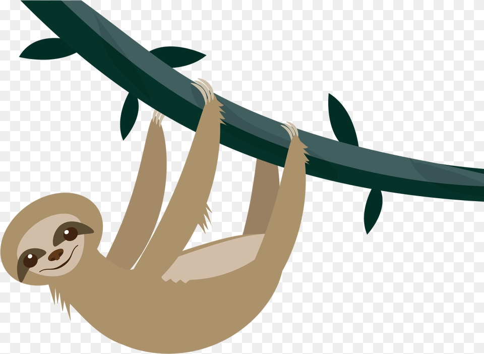 Sloth Clip Arts Sloth Background, Animal, Wildlife, Mammal, Three-toed Sloth Free Png Download