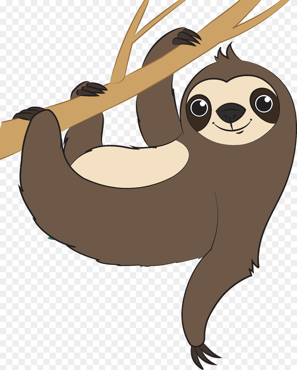 Sloth Clipart, Animal, Wildlife, Mammal, Face Free Png