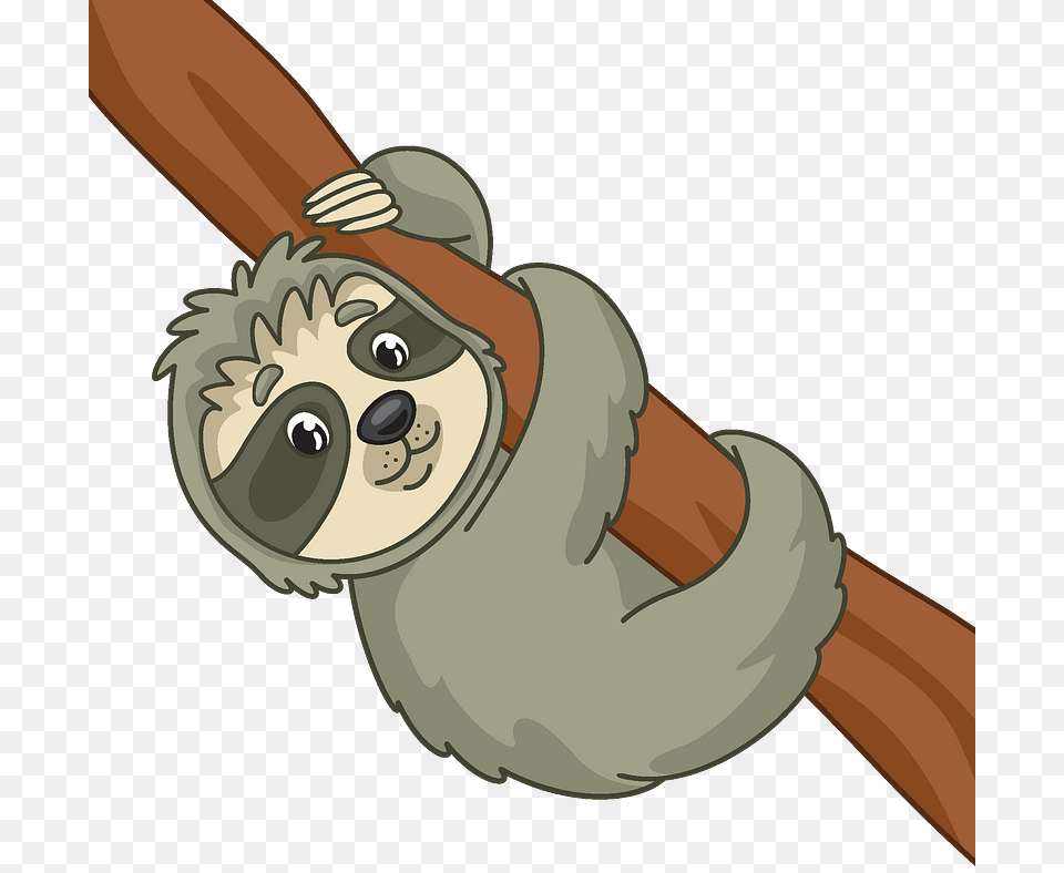 Sloth Clipart, Animal, Mammal, Wildlife, Koala Png