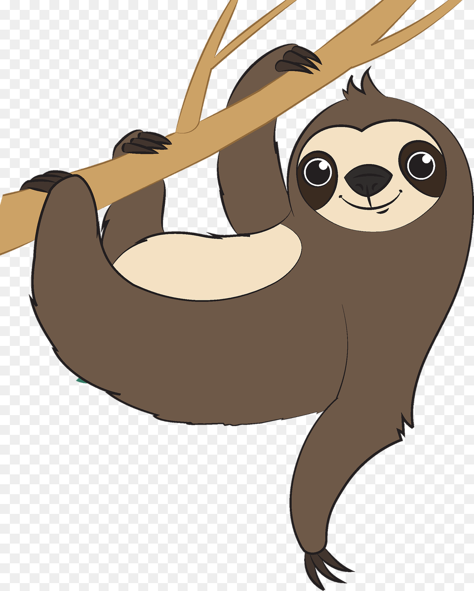 Sloth Clipart, Animal, Wildlife, Mammal, Face Free Transparent Png