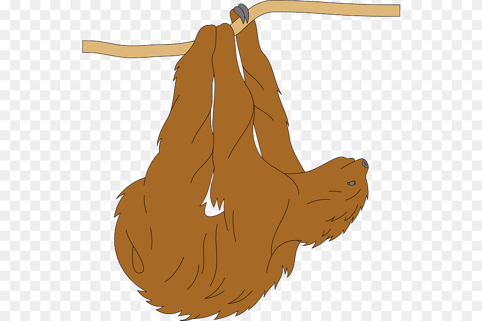 Sloth Clipart Animal Fur Hanging, Mammal, Wildlife, Three-toed Sloth Free Png
