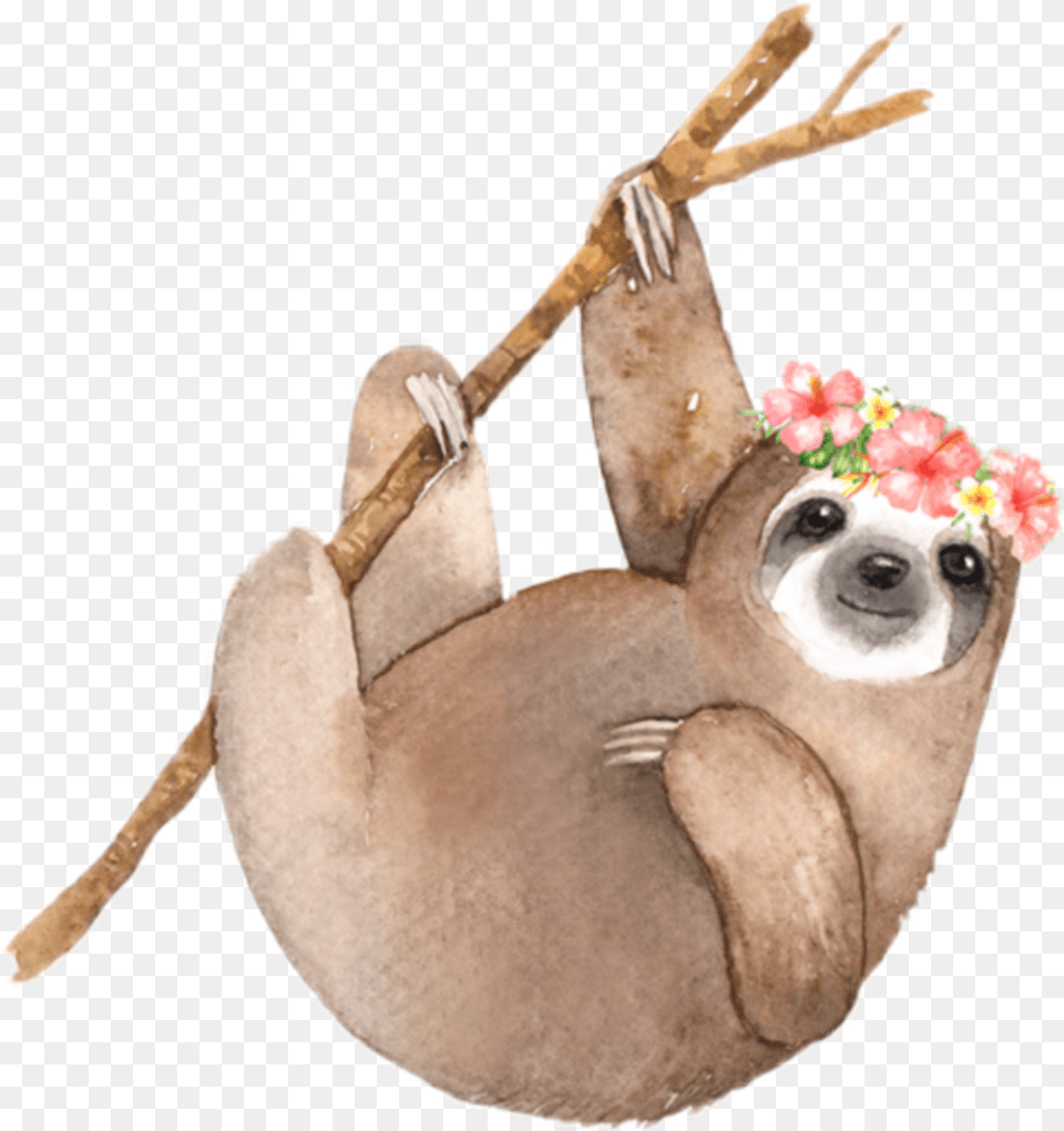 Sloth Clipart Watercolor Sloth Invitations, Animal, Wildlife, Mammal, Three-toed Sloth Free Png Download