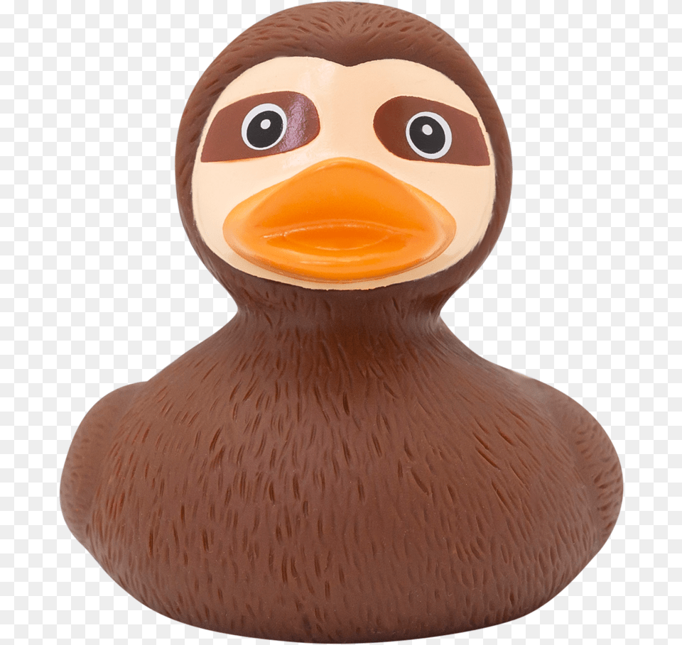 Sloth Duck Sloth And A Duck Combined, Animal, Bird Free Png Download