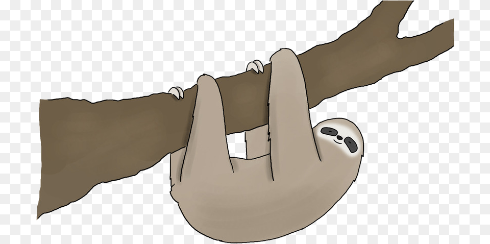 Sloth Face Clipart Sloth To Do List, Electronics, Hardware, Adult, Female Free Transparent Png