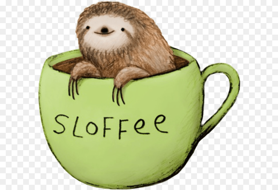 Sloth Freetoedit, Animal, Mammal, Cup, Wildlife Free Png