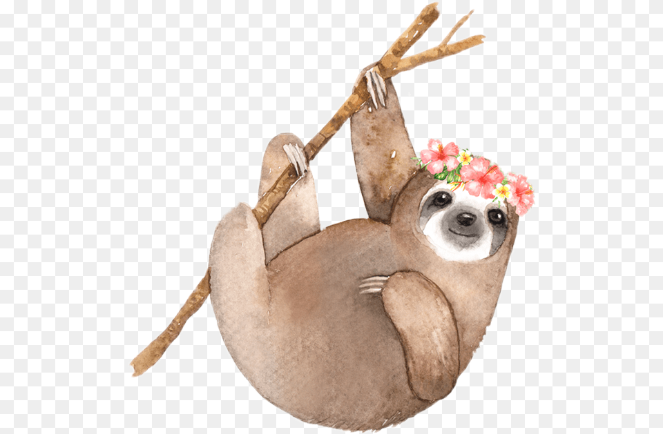 Sloth Ftestickers Watercolor Sloths Sticker By Bianca Watercolor Sloth, Animal, Wildlife, Mammal, Three-toed Sloth Free Png Download
