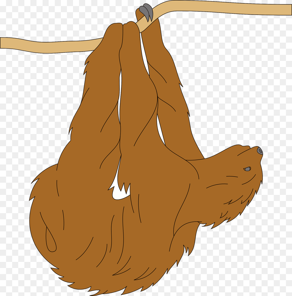 Sloth Hanging From Branch Clipart, Animal, Mammal, Wildlife, Three-toed Sloth Png Image