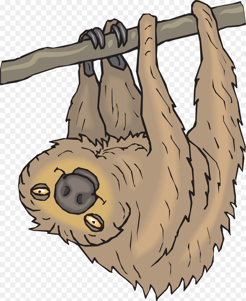Sloth Hanging From Branch Clipart, Animal, Mammal, Wildlife, Three-toed Sloth Png Image