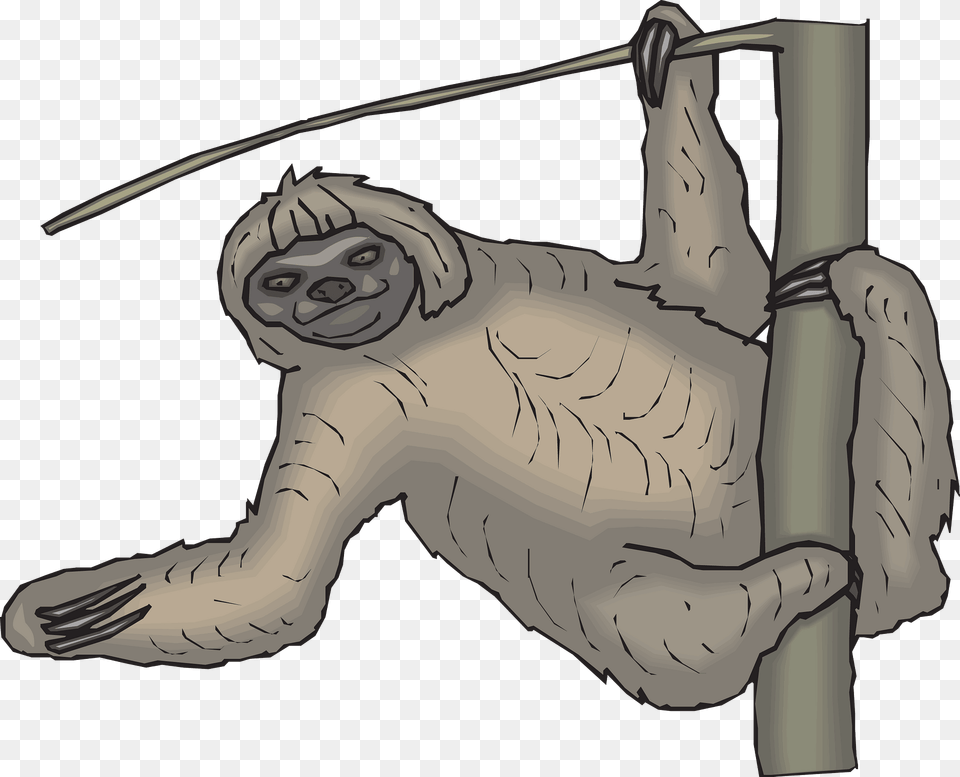 Sloth Hanging From Tree Clipart, Animal, Mammal, Wildlife, Three-toed Sloth Free Png