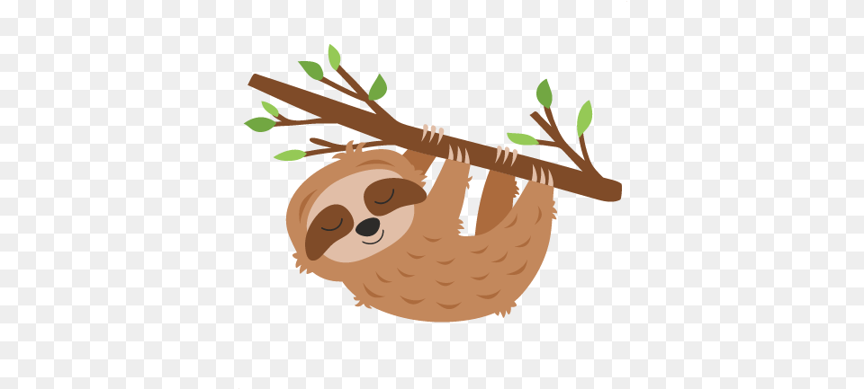 Sloth Hanging From Tree Svg Cut File Sloth Svg File, Animal, Wildlife, Mammal, Three-toed Sloth Free Png Download