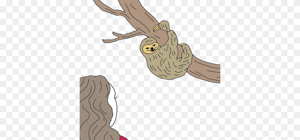 Sloth Illustration, Animal, Wildlife, Mammal, Baby Png Image